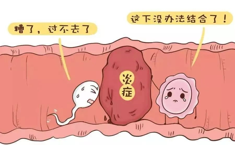 47岁天津借卵成功率多少 天津中心妇产医院试管婴儿成功率高吗？ ‘男婴b超单