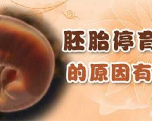 浙江代生包生女儿 2023浙江省供卵机构排名，试管供卵助孕攻略参考 ‘4个月b超