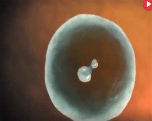 广州找捐卵代怀孕:美国卵子冷冻如何保持生育能力