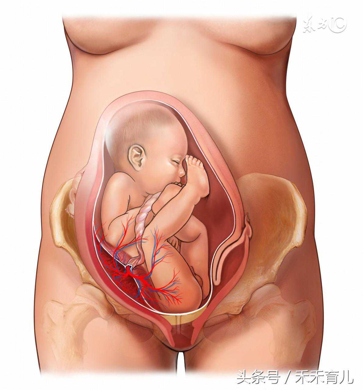 通过胎儿打嗝看男女，胎儿打嗝在左下腹是男孩？