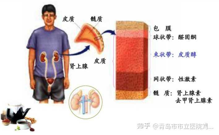 优选低风险糖尿病试管婴儿在广州诞生，试管婴儿技术的发展历史你了解吗？